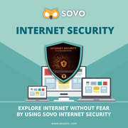 SOVO INC Internet Security